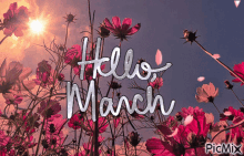 March 1st GIF - March 1st GIFs