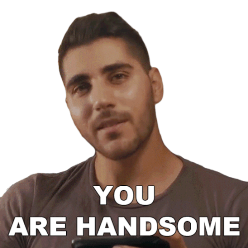 You Are Handsome Rudy Ayoub Sticker - You Are Handsome Rudy Ayoub You Are Good Looking Stickers