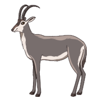 Antelope Bluebuck Sticker