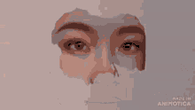 a pixelated image of a person 's face with the words " made in animotica " at the bottom