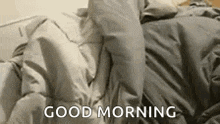 Dog Good Morning GIF - Dog Good Morning To Be Ugly Right Back GIFs