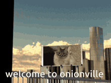 Onionville Cat GIF - Onionville Cat My Cat GIFs