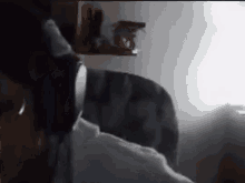 a person is sitting in a chair in a room with a light shining through the window .