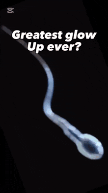 a picture of a baby in the womb with the words " greatest glow up ever "