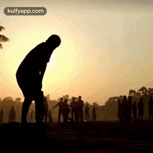 The Cricket We Missing Today.Gif GIF - The Cricket We Missing Today Trending Gif GIFs