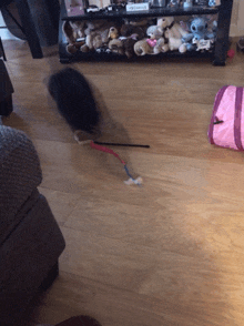 And Pounce GIF - And Pounce GIFs
