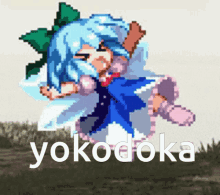 a pixel art drawing of a girl with the word yokodoka written below her