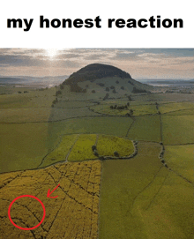 Ai Reaction GIF - Ai Reaction My Honest Reaction Red Circle GIFs