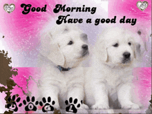 Good Morning Dogs GIF - Good Morning Dogs GIFs