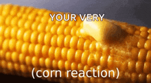 Corn Reaction GIF