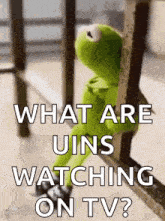 kermit the frog is sitting on a railing looking out a window .