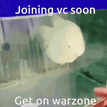 Join Vc Warzone GIF - Join Vc Warzone Fish GIFs