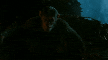 Planet Of The Apes Caesar GIF - Planet Of The Apes Caesar Run GIFs