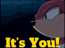 Sonic X Knuckles GIF - Sonic X Knuckles Its You GIFs