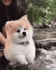 Yes Oh GIF - Yes Oh Swimming GIFs