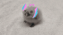 a drawing of a bird with a pink and blue feather on its head