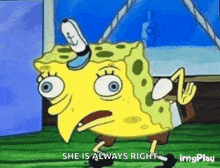 a cartoon of spongebob squarepants saying `` she is always right ''