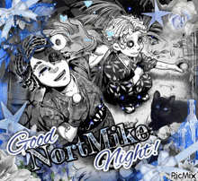 a black and white poster that says good nort mike night on it