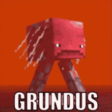 Grundus He GIF - Grundus He Minecraft GIFs