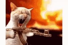 die gun machine cat fire