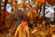 hello autumn seasons fall