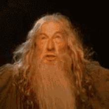 Lord Ring GIF - Lord Ring Stop GIFs
