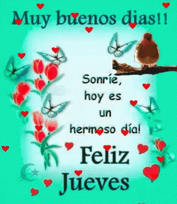 Felicidades Muy Buenos Dias GIF - Felicidades Muy Buenos Dias Feliz