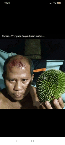 Durian GIF