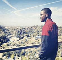 a man in a red and blue shirt stands on a balcony overlooking a valley