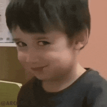 a young boy is smiling and looking at the camera .