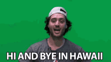 Hi And Bye In Hawaii Hi GIF - Hi And Bye In Hawaii Hi Bye GIFs