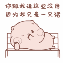 tkthao219 piggy