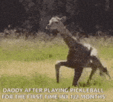 a giraffe is standing on its hind legs in the grass .