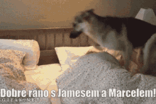 Marcel James GIF - Marcel James Protego GIFs
