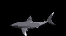 Shark Spin GIF - Shark Spin GIFs