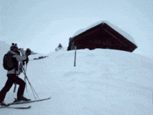 Bronek Ski GIF