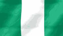 Nigeria Nigerian GIF - Nigeria Nigerian Naija GIFs