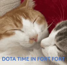 Dota2 Dota Time GIF - Dota2 Dota Time Dota Time In Fort Fort GIFs