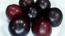 plum fruits