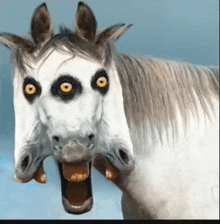 Funny Horse GIF