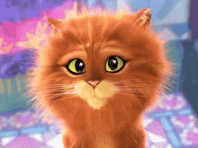 Puss In Boots Puss In Boots The Last Wish GIF