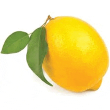 Lemon GIF