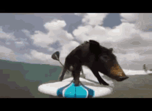Surfing Pig GIF
