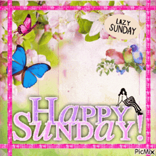 a happy sunday card with butterflies and birds on it
