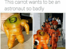 Carrot Meme GIF - Carrot Meme Astronaut GIFs
