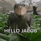 Jacob Hello Jacob GIF - Jacob Hello Jacob Hello GIFs