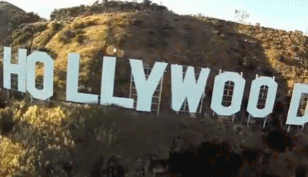 Hollywood GIF - Hollywood GIFs