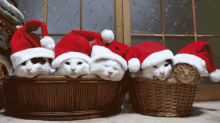 Kitties GIF - Holidays Christmas Kitten GIFs
