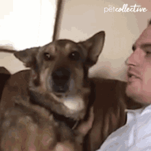 Kissing The Pet Collective GIF
