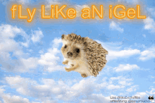 Flylikeanigel Eagle GIF - Flylikeanigel Igel Eagle GIFs